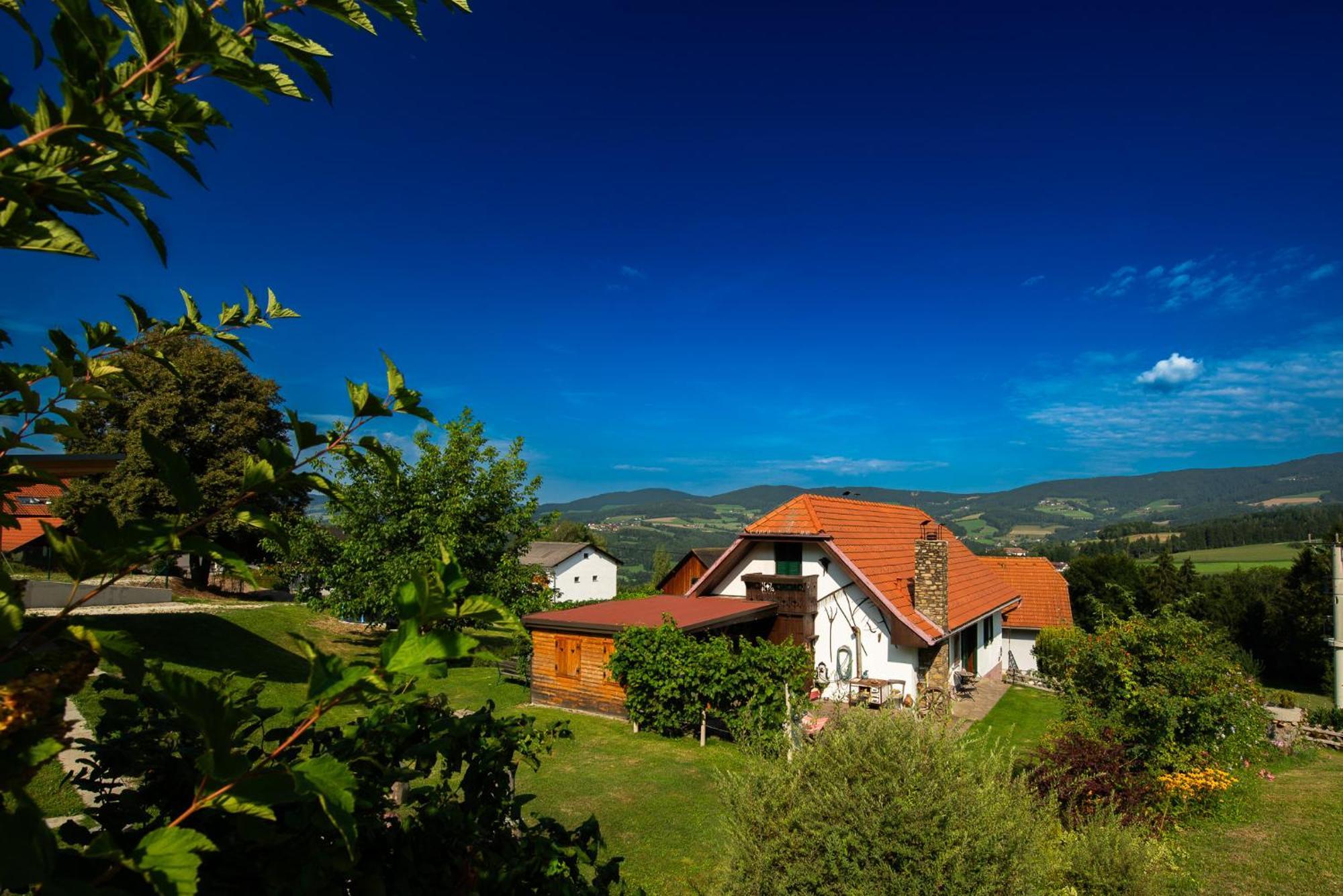 Ferienhaus Mooshoef Pollauberg Экстерьер фото